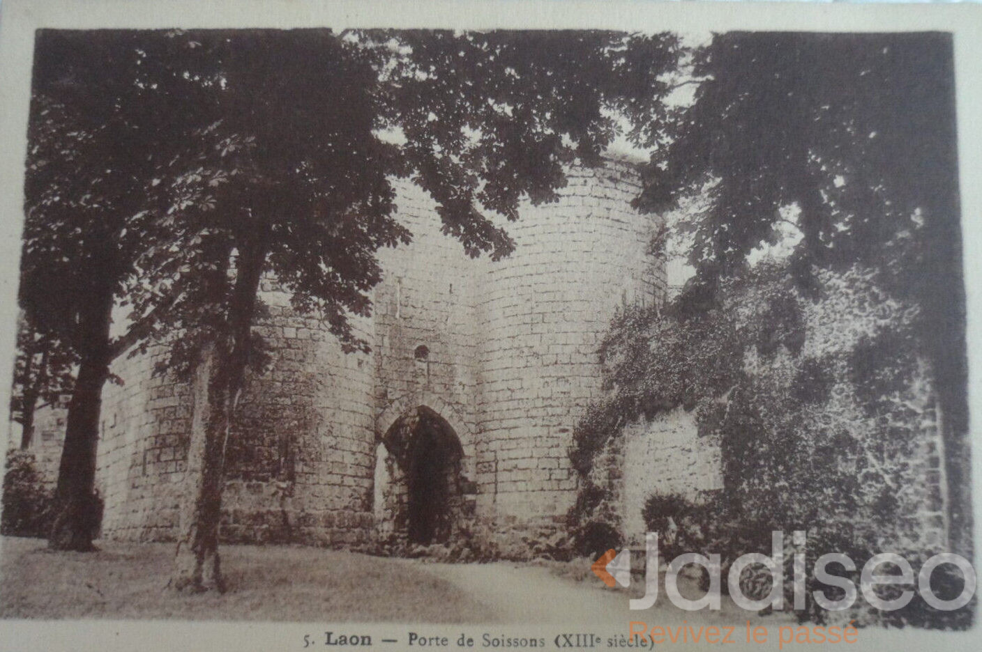 Original Photo