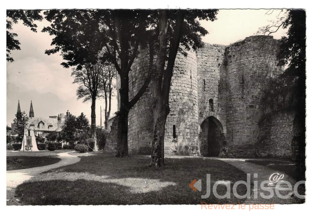 Original Photo