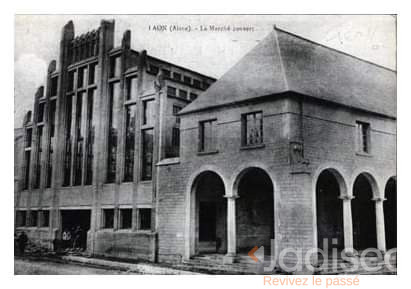 Original Photo